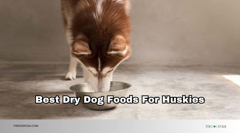 best dry dog foods for huskies