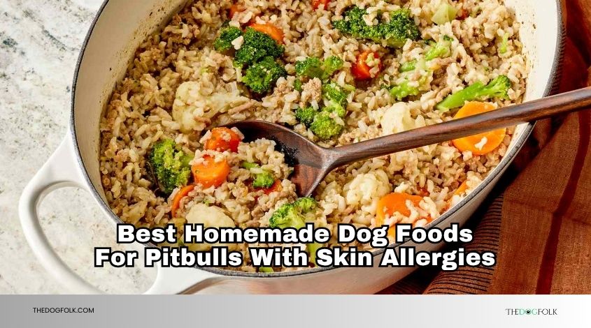 best homemade dog foods for pitbulls with skin allergies