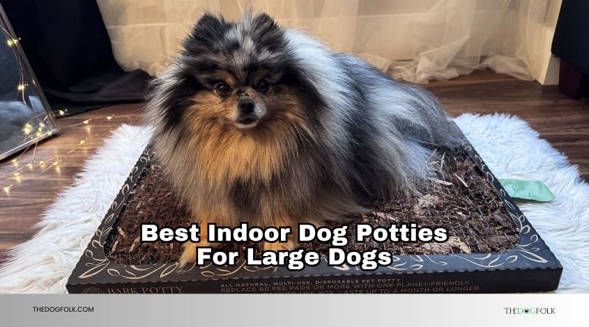 best indoor dog potties for large dogs