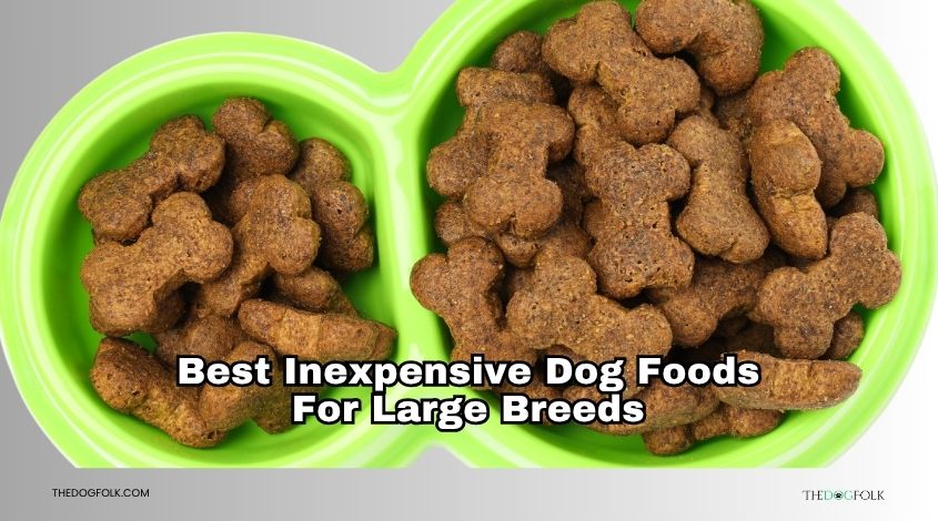 best inexpensive dog foods for large breeds