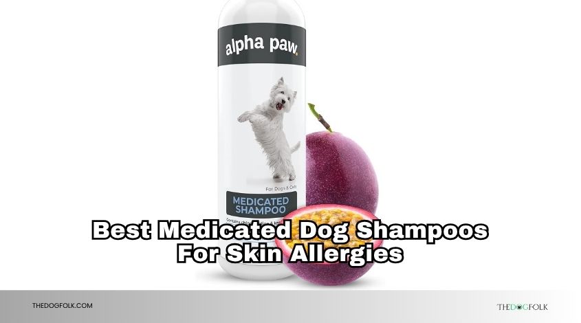 best medicated dog shampoos for skin allergies