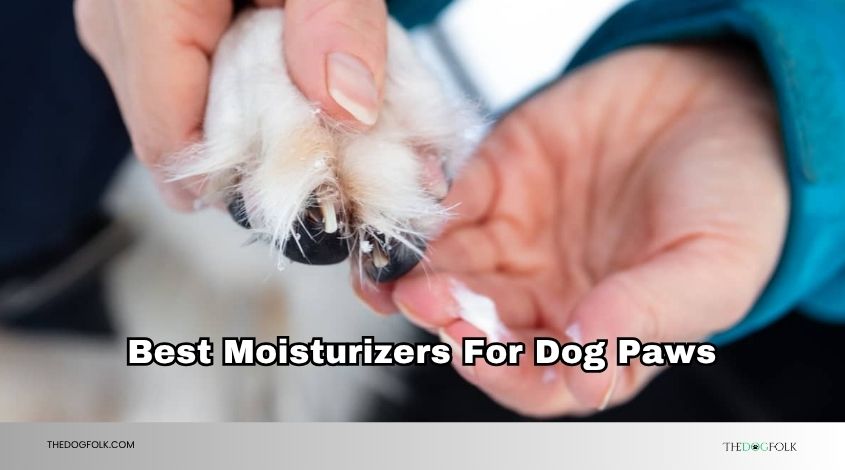 best moisturizers for dog paws