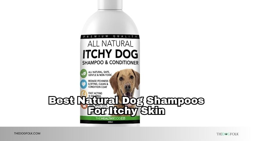 best natural dog shampoos for itchy skin