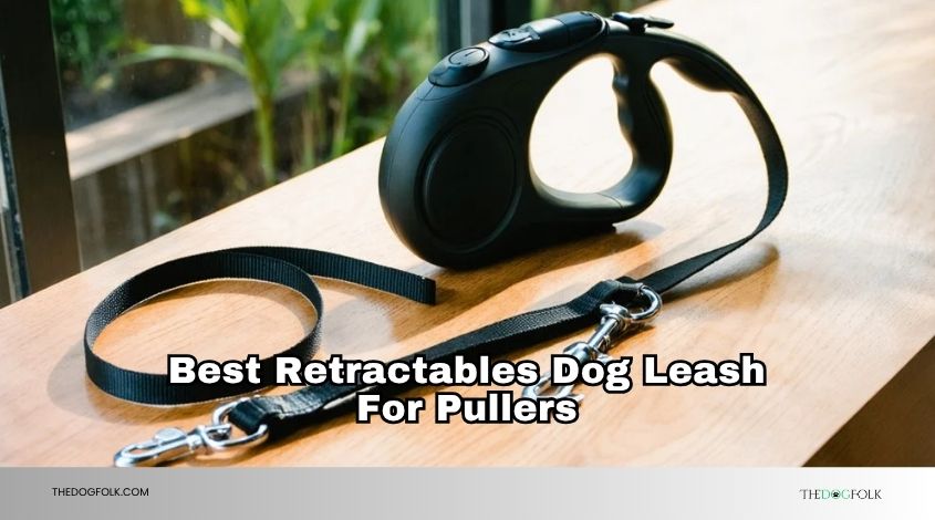best retractables dog leash for pullers