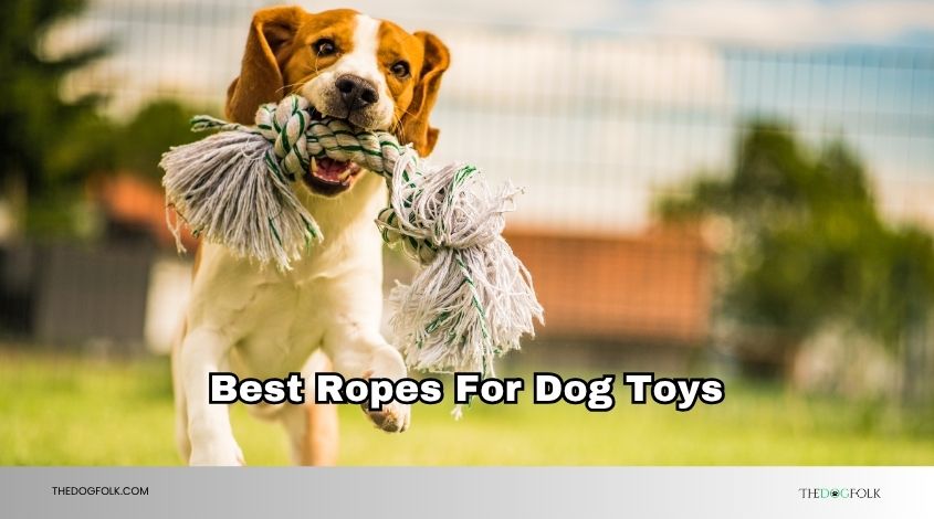 best ropes for dog toys