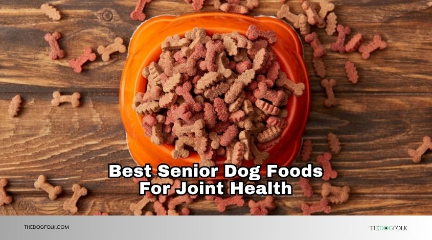 best senior dog foods for joint health