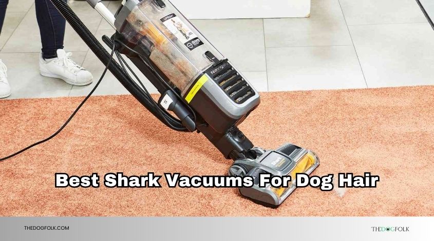 best shark vacuums for dog hair