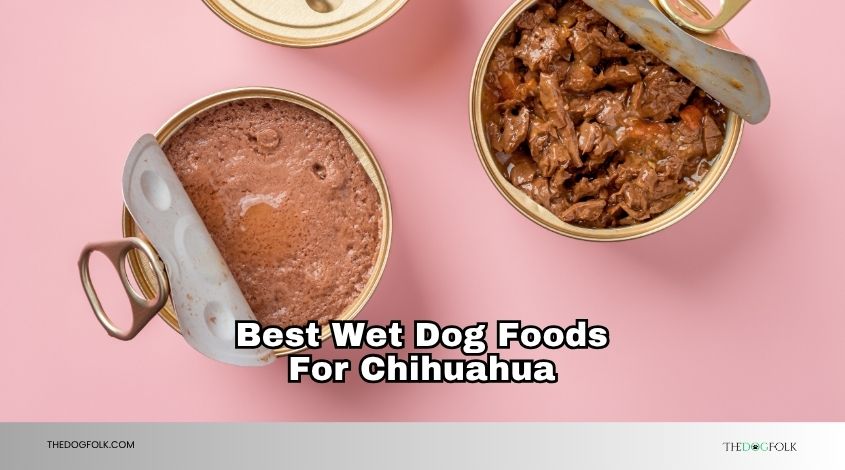 best wet dog foods for chihuahua