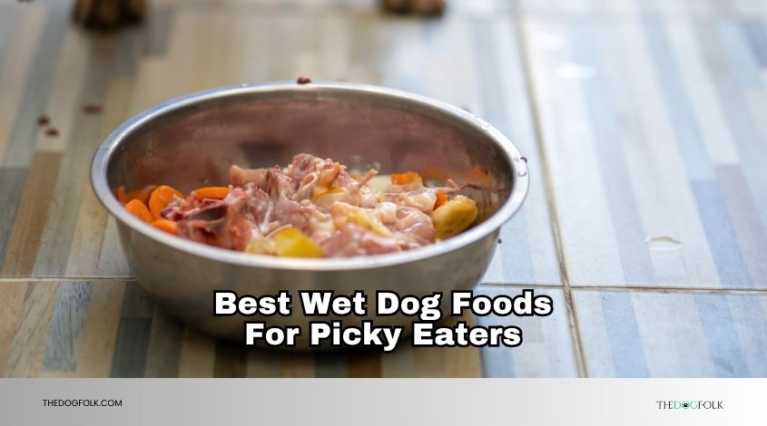 best wet dog foods for picky eaters