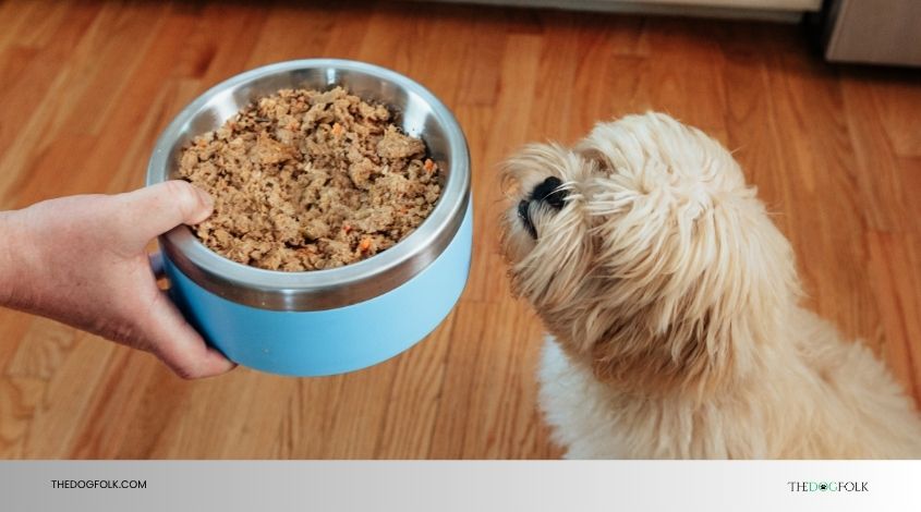 can i feed my adult dog puppy food