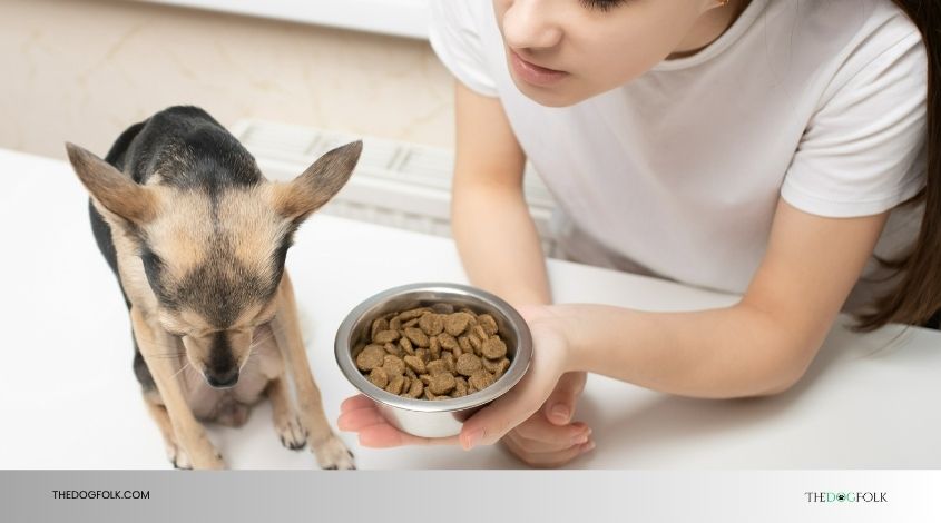 can i give my sick dog baby food