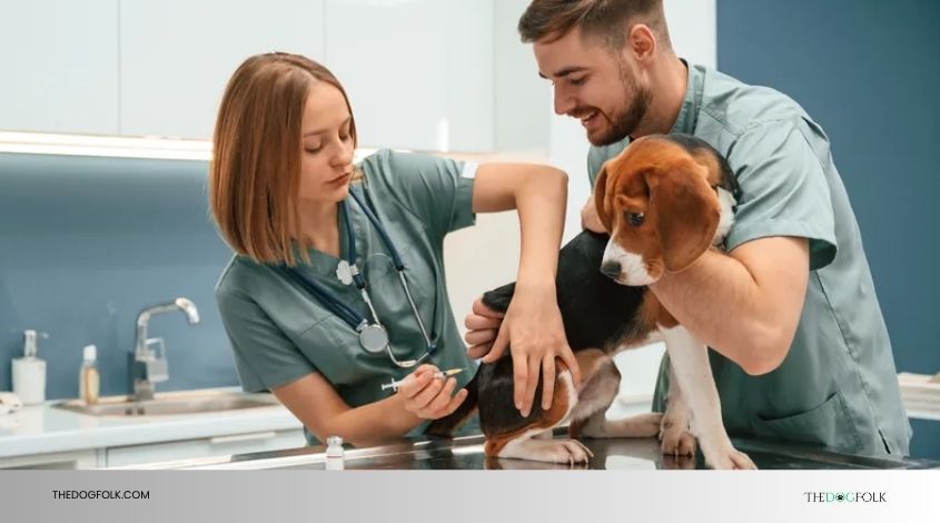 do dogs get tetanus vaccine
