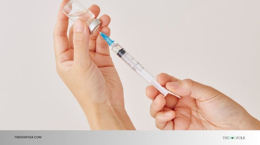 do dogs need rabies vaccine
