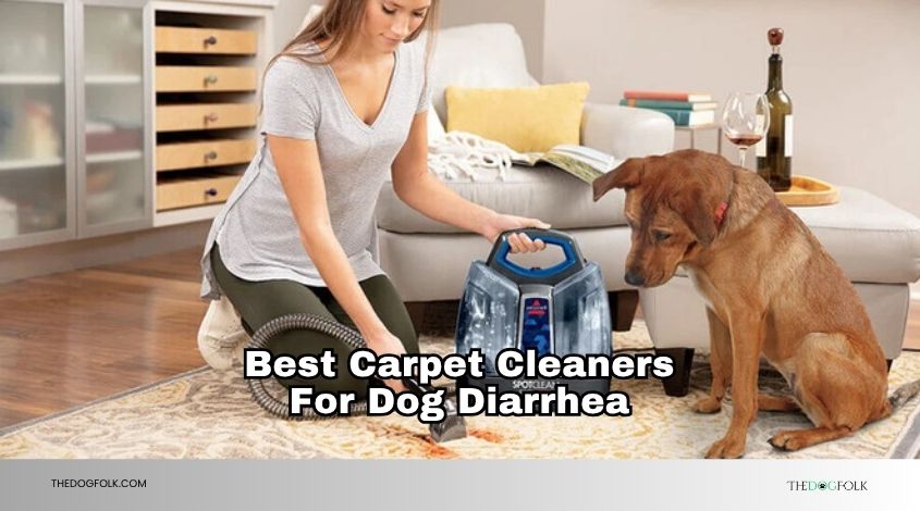 best carpet cleaners for dog diarrhea
