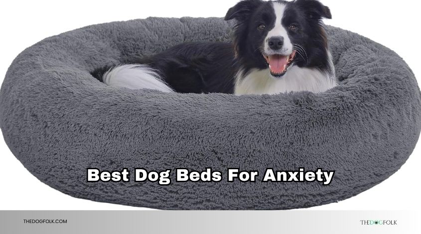 best dog beds for anxiety