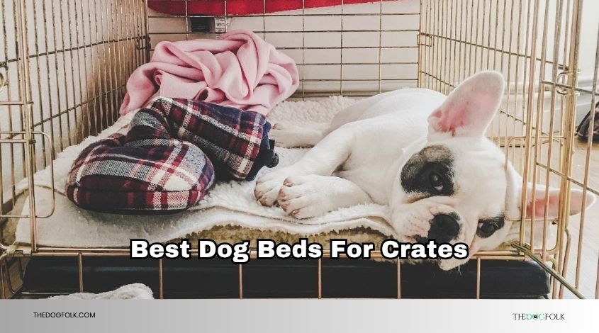 best dog beds for crates