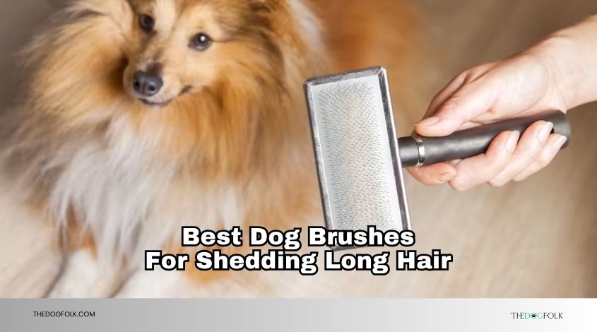 best dog brushes for shedding long hair