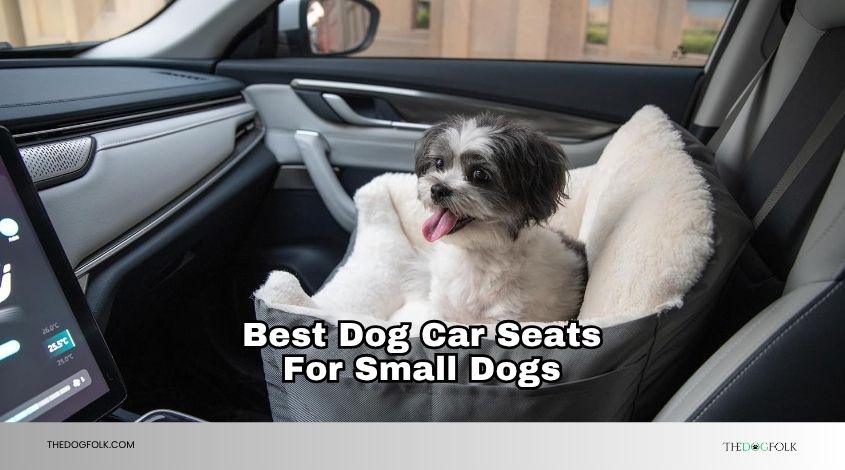 best dog car seats for small dogs