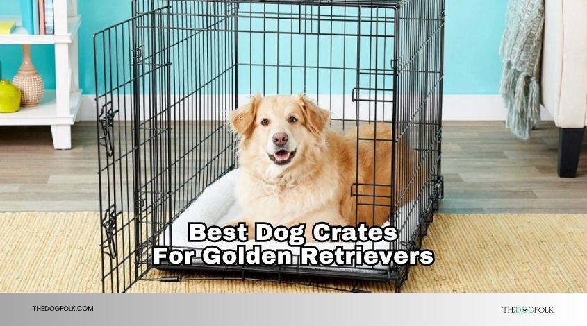best dog crates for golden retrievers