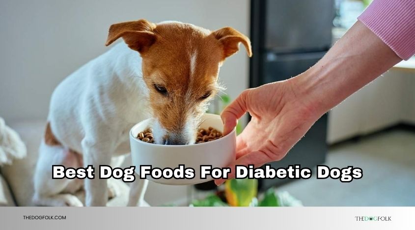 best dog foods for diabetic dogs