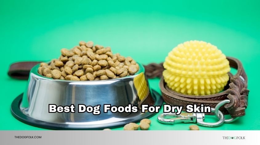 best dog foods for dry skin
