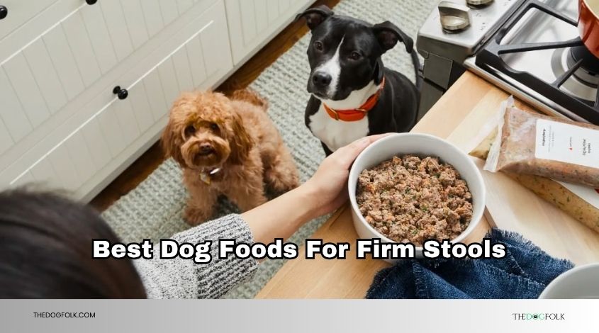 best dog foods for firm stools
