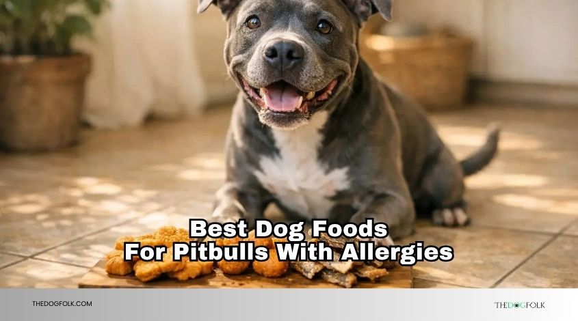 best dog foods for pitbulls with allergies