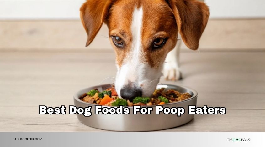 best dog foods for poop eaters
