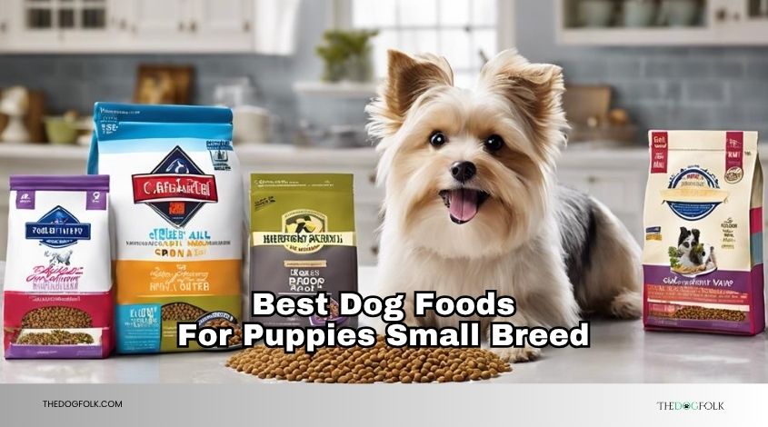 best dog foods for puppies small breed