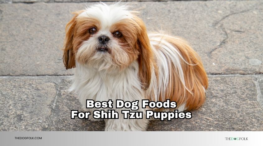 best dog foods for shih tzu puppies