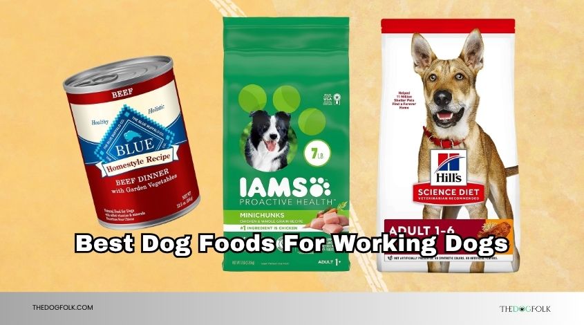 best dog foods for working dogs