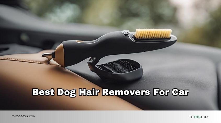 best dog hair removers for car