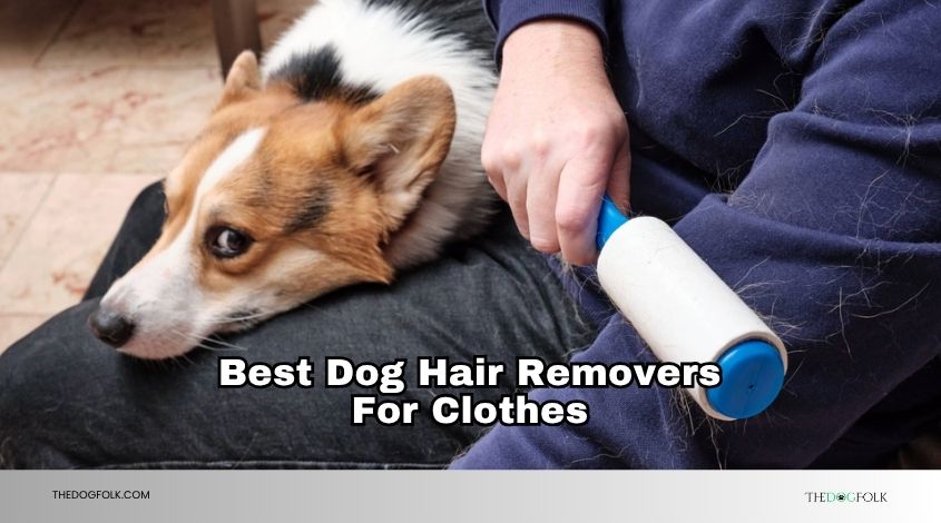 best dog hair removers for clothes