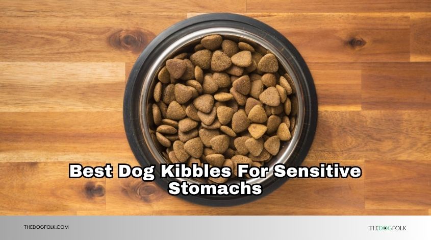 best dog kibbles for sensitive stomachs