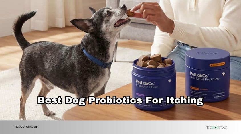 best dog probiotics for itching