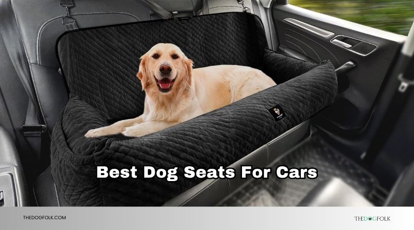 best dog seats for cars