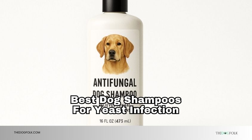 best dog shampoos for yeast infection