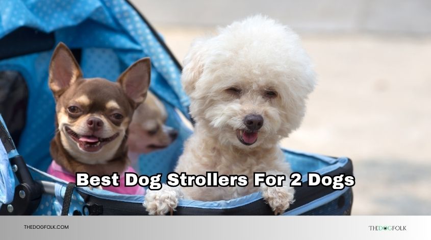 best dog strollers for 2 dogs