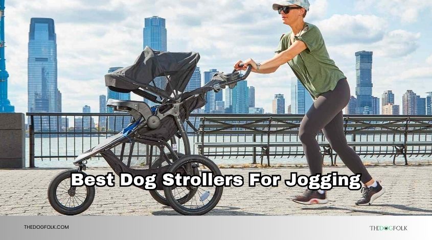 best dog strollers for jogging