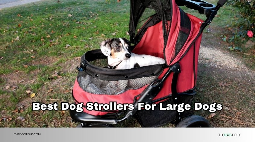 best dog strollers for large dogs