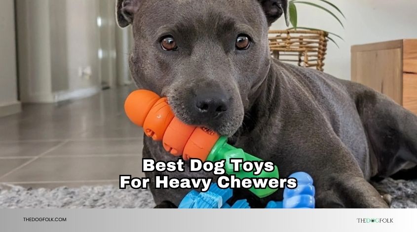 best dog toys for heavy chewers