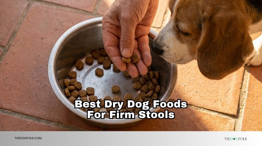 best dry dog foods for firm stools