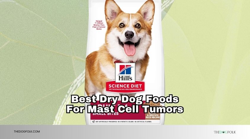 best dry dog foods for mast cell tumors