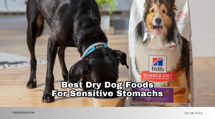 best dry dog foods for sensitive stomachs