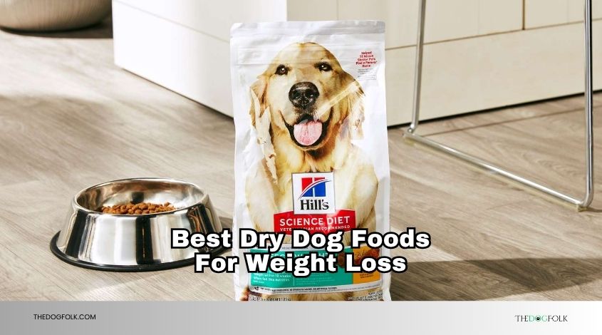 best dry dog foods for weight loss