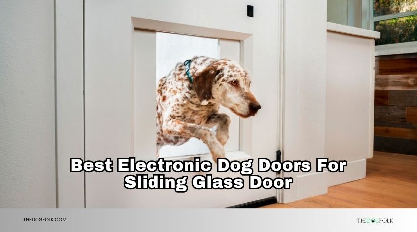 best electronic dog doors for sliding glass door