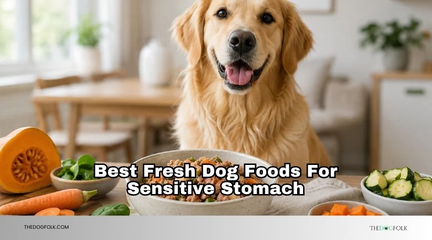 best fresh dog foods for sensitive stomach