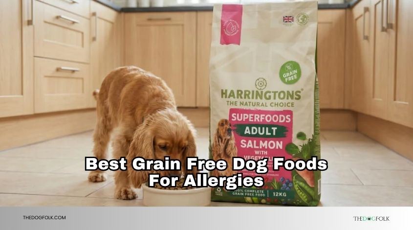 best grain free dog foods for allergies