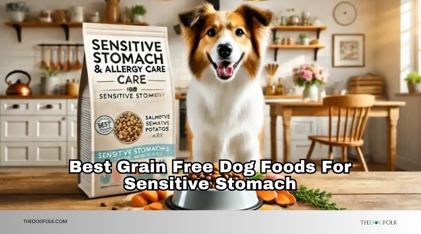 best grain free dog foods for sensitive stomach