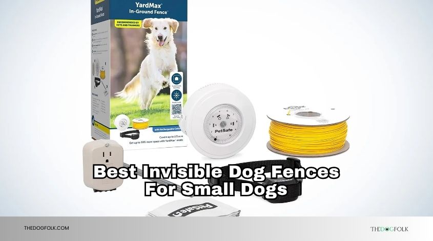 best invisible dog fences for small dogs